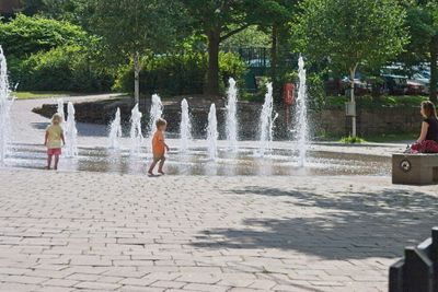 IMG_4551.jpg