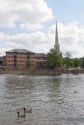 IMG_4582.jpg