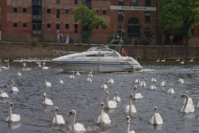 IMG_4586.jpg