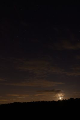 Hunting Perseids