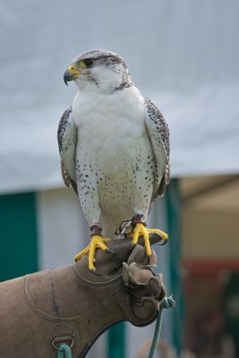 IMG_2764.jpg