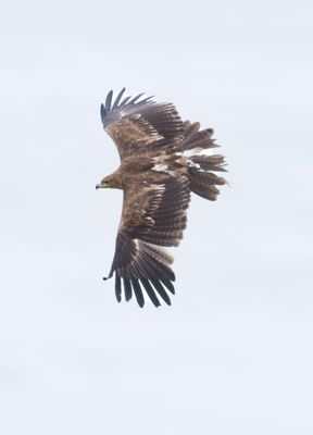 IMG_2854.jpg