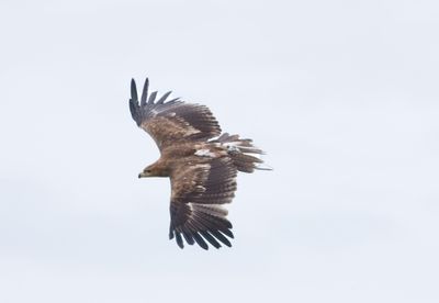 IMG_2855.jpg
