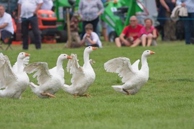 IMG_2913.jpg