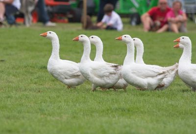 IMG_2934.jpg