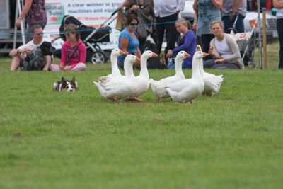 IMG_2948.jpg