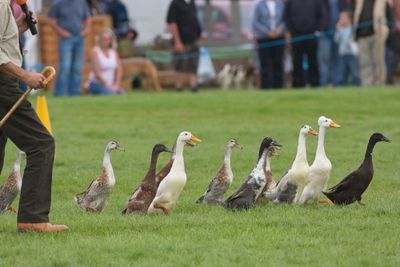IMG_2993.jpg