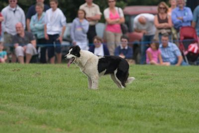 IMG_3030.jpg