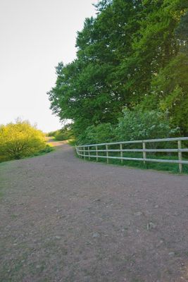 IMG_1616.jpg