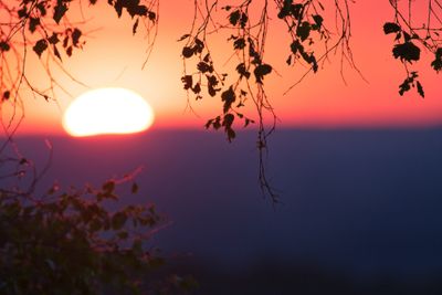 IMG_1677.jpg