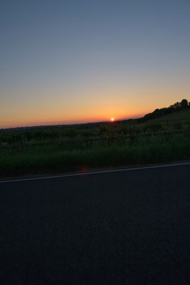 IMG_1823.jpg