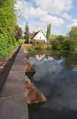 IMG_1181.jpg
