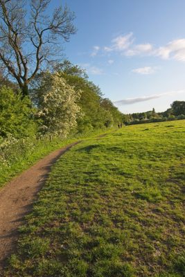 Around Forge Mill