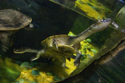 IMG_0173.jpg