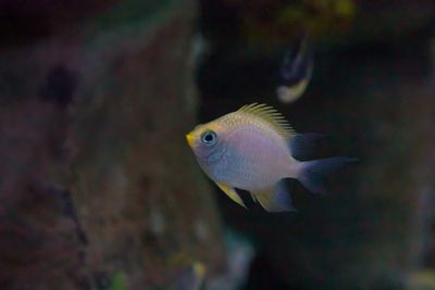 Sealife Birmingham
