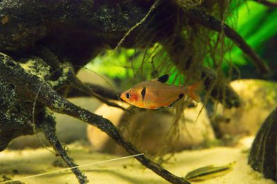 IMG_0543.jpg
