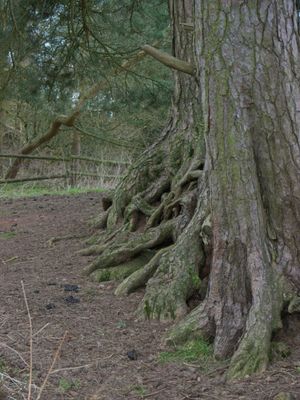 P1000002.jpg