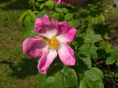 P1010449.jpg