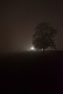 g13/99/209899/3/174996372.54d3d9f7.JPEG