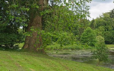 Croome Court