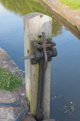 DSC_0967.jpg