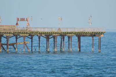 DSC_5137.jpg