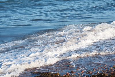 DSC_5169.jpg