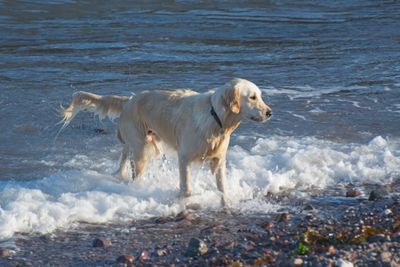 DSC_5200.jpg