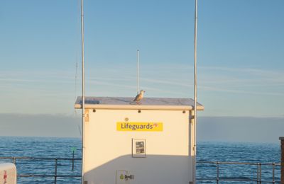 Teignemouth 2019