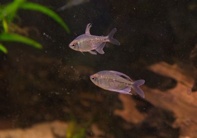 DSC_0164.jpg