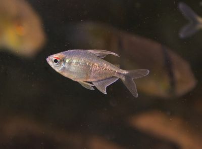 DSC_0172.jpg