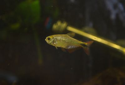 DSC_0351.jpg