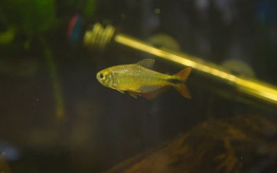 DSC_0352.jpg