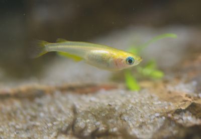 DSC_0728.jpg