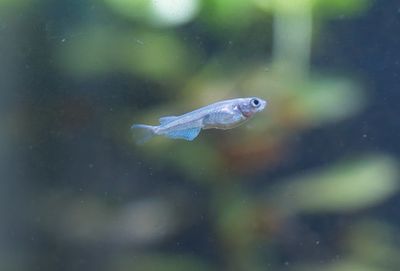 DSC_0732.jpg