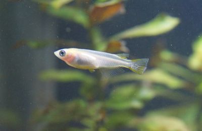 DSC_0737.jpg