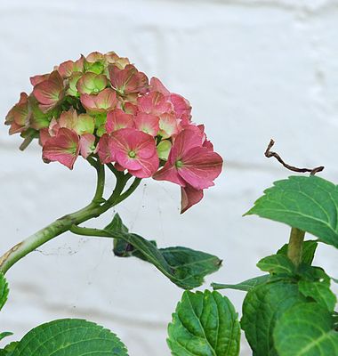 g13/99/209899/3/175029635.5f978f9f.JPEG