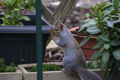 DSCF0174.jpg