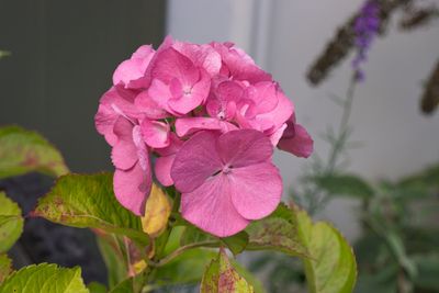 g13/99/209899/3/175036040.403c328a.JPEG