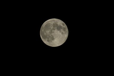 g13/99/209899/3/175040327.0c66737c.JPEG