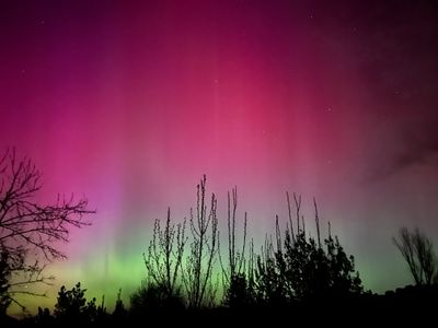Aurora Borealis IMG_6720.jpeg