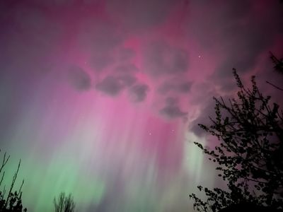 Aurora Borealis IMG_6729.jpeg