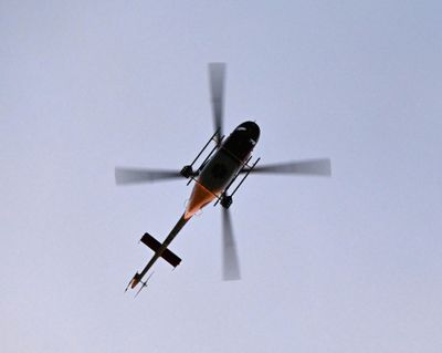 Helixpteron DSC_0028.JPG