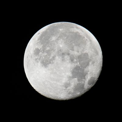 _DSC0866 Harvest Moon