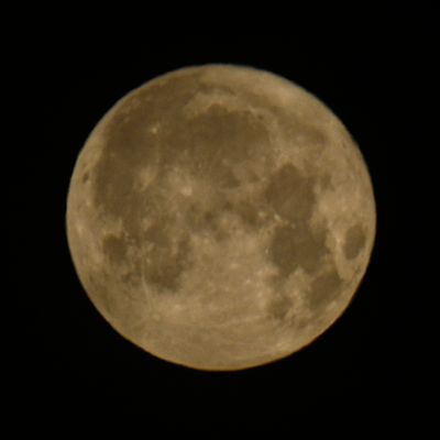 Strawberry Moon June 2025_DSC1786