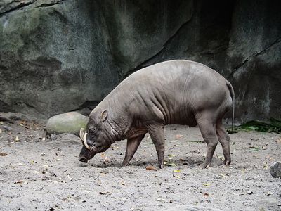 P2149095e.jpg