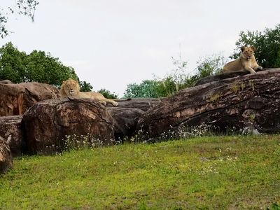 P4109339e.jpg