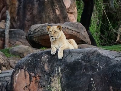 P4109347e.jpg