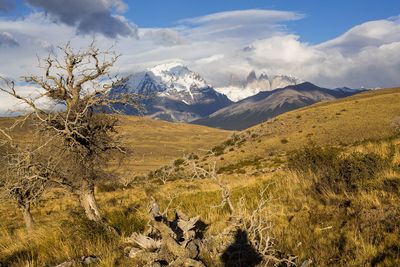 IMG_1862.jpg