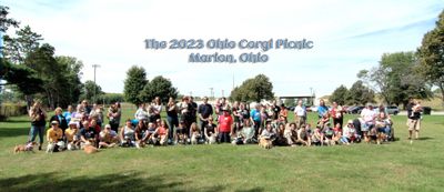 Ohio Corgi Picnic 2023